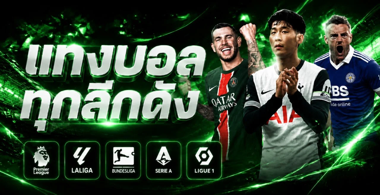 ภาพติดตามฟุตบอลและบริการ MAX-CLUBS